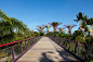 新加坡滨海湾花园Gardens by The Bay / Grant Associates