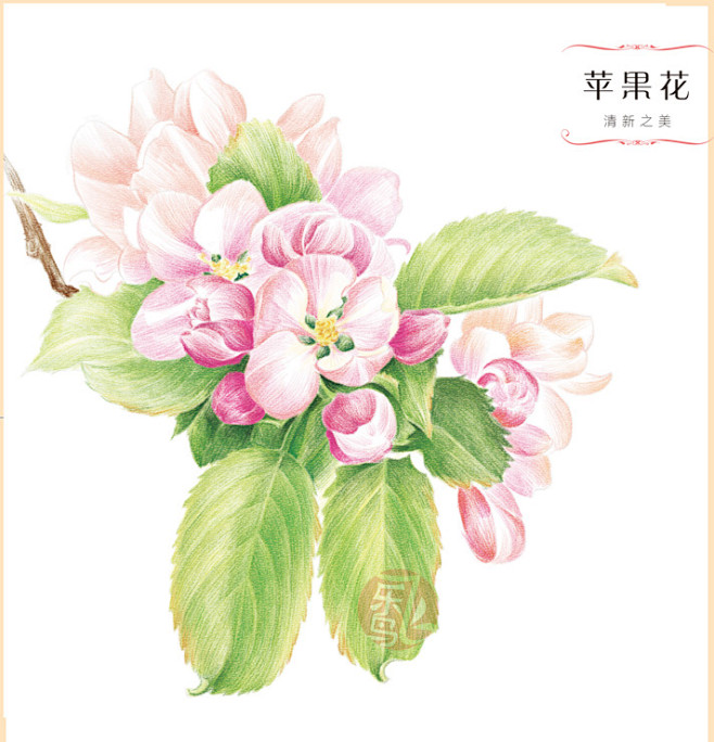 《花之绘III》