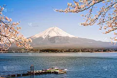 日本川口千子湖富士山春景。