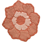 Jessica Simpson Peony Burnt Coral Bath Rug