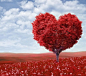 my heart