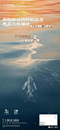 融侨方圆大鱼