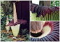 The three-metre-tall titan arum is one of the world’s stinkiest flowers, and two have recently bloomed in a US botanic garden: http://bit.ly/VwOI8W
source
I missed the bloom in Pittsburgh