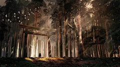 haw__采集到场景