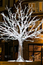 美丽的亮起的圣诞树满圣诞灯在城市的街道在晚上