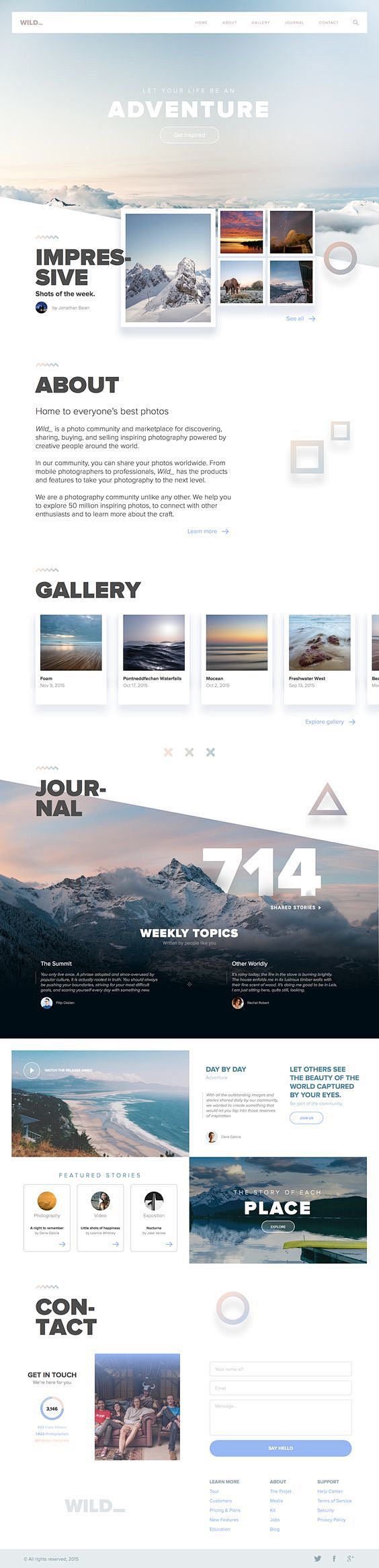 Wild website designe...