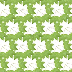 绿色枫叶，无缝花纹装饰纺织枫叶