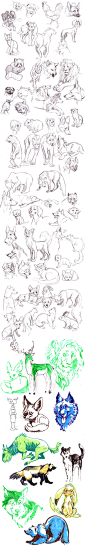 I pinned this picture because I used some of the animals in my sketches and this is what I based the parts of them that I used on: 