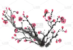 图案，纹理，手工笔刷。盛开的枝五月李树，樱花。墨水的图形图像。东方，中国，日本，韩国风格。彩色一套花