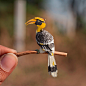 365 Miniature Paper Birds by Nayan & Vaishali | Daily design inspiration for creatives | Inspiration Grid