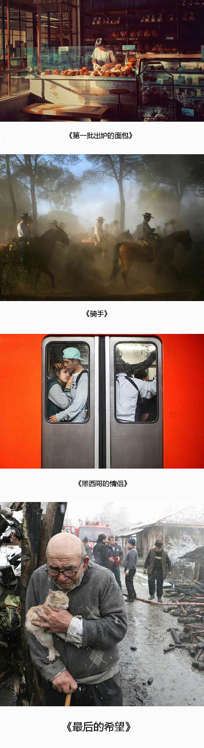 #拍出油画效果的照片#网友们随手拍摄的照...