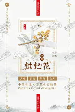 枇杷花中医养生海报 【酷图网】中医养生,党参,四季养生,十二经络,经络养生,养生馆,排毒养生,美容美体,美容海报,冬季养生,冬病夏治,艾灸养,夏季,秋季,中医文化,传统中医,养生挂图,中医图片,中医减肥,药材海报,中医保健,中国风,健康养生,养生文化,中药,中药展板,中药材,名贵药材,名贵中药,草药,枇杷花