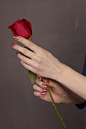 Hands & Feet Practice - Line of Action