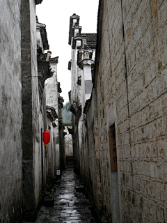 相思亦回眸采集到旅行