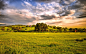 plain-greens-sun-mountains-wallpaper