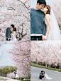                                                         aiphotoStudio | 南京樱花季
   想被春天卷进温柔的风里 柔软的云里 

 
        还有樱花味的拥抱 
.
...展开全文c                            