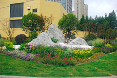 HongChing采集到育龙居环境提升