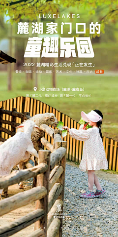 谜鵀采集到旅游详情图
