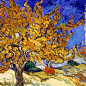 Yellow & Blue | Van Gogh