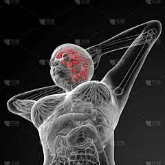 3d渲染人体大脑的医学插图
