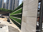 仿真植物墙