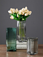 北欧蓝色玻璃花瓶摆件现代简约客厅水养富贵竹插花透明餐桌装饰小