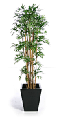 cheap artificial plants - idea- tree <3 that I can't kill :D: 
