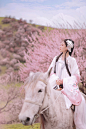 杏花坞