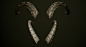 bernhard-van-der-horst-horns-rs-008