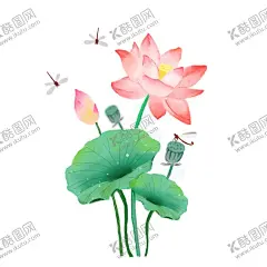荷花手绘插画 【酷图网】节气插画,处暑插画,二十四节气,插画,荷花手绘插画,荷花插画,手绘荷花插画,24节气插画,立春插画,夏天荷花插画,霜降插画