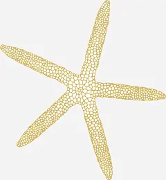 卡通装饰线条海洋生物海报海高清素材 动物插画 卡通海洋生物 卡通装饰线条海洋生物海报设计海星免费下载 广告设计 旅游宣传册设计 海报设计 海星 简笔画线条海洋生物 平面广告 设计图片 免费下载