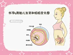怀孕4周准爸妈指南