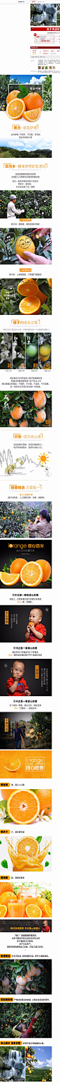 【预售】正宗赣南脐橙5斤橙子新鲜水果江西脐橙 11月9日陆续发货-tmall.com天猫