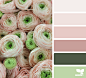 blush Archives | Page 12 of 21 | Design Seeds