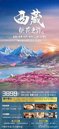西藏桃花节海报-源文件-志设网-zs9.com