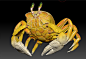 Mr "Yellow" Crab, Daniel Klepek : Personal project