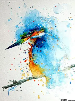 Tilen Ti 水彩插画欣赏 鸟 色彩 自然 水彩 手绘 唯美 