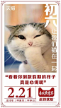 一文看懂：天猫狗年如何玩转“猫营销” : 地铁变身“猫奴车站”，喵的眼神已锁定你噜 近日全国多个地铁站，摇身一变成了“猫奴车站”。车站到处都是猫咪的大幅海报，有的猫以“主子”的眼神注视着你，有的猫则是懒洋洋地睡在沙发上。 海报文案也非常有趣，如