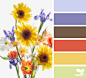 Design Seeds : Your daily dose of inspiration ... for all who love color.