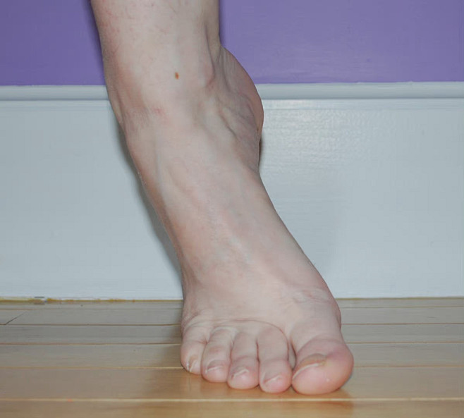脚/人体参考/人体造型 多角度脚部绘制参...
