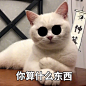 点击查看图片来源