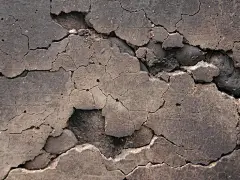 采集图片