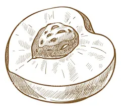 卡通桃子logo水蜜桃  - 源文件下载【酷图网】卡通桃子,卡通桃子素材,桃子,桃子海报素材,广告,水果,瓶贴,可爱,宣传,桃子素材,图片,包装,美味,新鲜,插画,插图,免扣,素材,元素,矢量,卡通,手绘,手绘桃子,桃子标志,logo,简约,图案,图标,桃子插画,矢量桃子,促销,时尚,清新,水蜜桃,白桃,桃,油桃,简笔画,线稿,素描,黑色,切开,核