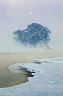 深情海洋采集到雪色美景！