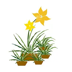 兰花  - 源文件下载【酷图网】兰花,盆栽兰花植物,小清新植物,开花植物,绿色植物,手绘植物,矢量植物,绿叶小盆栽,阳台花卉,