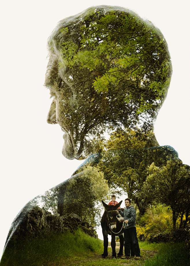 Continuum Plateau : ...