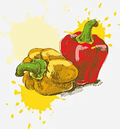 手绘辣椒矢量图_新图网 https://ixintu.com 手绘 插画 食物 线条 墨迹 泼墨 喷溅 辣椒