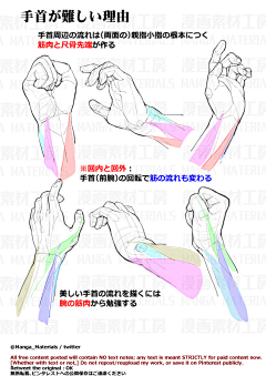 白桃半岛铁盒采集到肌肉