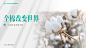 PPT封面页 (139)