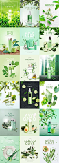 19款春季护肤品海报模板美妆绿色天然广告新品活动宣传PSD设计素材图 - 设汇